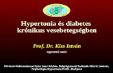 Hypertonia  és diabetes  krónikus  vesebetegségben