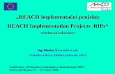 „ REACH implementační projekty REACH Implementation Projects  RIPs“ všeobecná informace