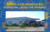 ESCOLA DE EDUCAÇÃO ESPECIAL JOÃO DE BARRO