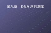 第九章   DNA 序列测定