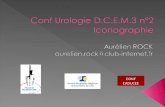 Conf  Urologie  D.C.E.M.3 n°2 Iconographie