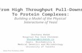 From High Throughput Pull-Downs To Protein Complexes: Building a Model of the Physical