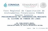 PROCEDIMIENTOS DE CORROBORACIÓN MEDIANTE EL SISTEMA DE FONDEN EN LÍNEA