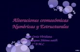 Alteraciones cromosómicas Numéricas y Estructurales