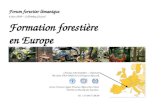 Formation forestière en Europe