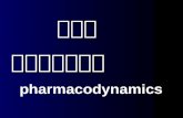 药物效应动力学 pharmacodynamics