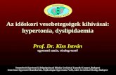 Az időskori vesebetegségek kihívásai:  hypertonia ,  dyslipidaemia