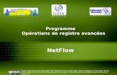 Programme  Opérations de registre avancées NetFlow