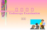 内 镜 检 查 Endoscopy Examination