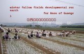 winter fallow fields developmental research                      for Bose of Guangxi 广西百色冬闲田开发研究