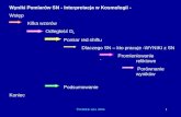 Wyniki Pomiarów SN - Interpretacja w Kosmologii -  Wstęp Kilka wzorów Odległość D L