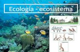 Ecología - ecosistema