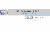 SK Telecom 2002  온라인광고 운영사례