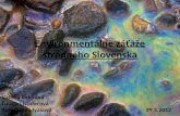 Environmentálne záťaže stredného Slovenska
