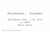 Proteiner,  Enzymer