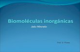 Biomoléculas  inorgánicas