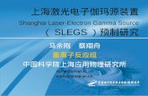上海激光电子伽玛源装置 Shanghai Laser-Electron Gamma Source （ SLEGS ）预制研究