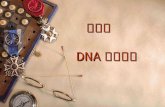 实验二   DNA 重组技术