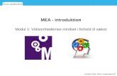 MEA - introduktion Modul 1: Virksomhedernes mindset i forhold til vækst