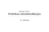 Brigita Zepa  Politikas rekomendācijas
