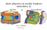 New physics & exotic hadron searches @
