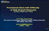 Provisional Stent with Difficulty  of Side Branch Reaccess 边支再进入困难的“即兴”支架术