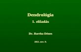 Dendrológia 1. előadás