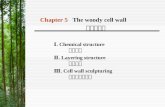 Ⅰ. Chemical structure  化学结构 Ⅱ. Layering structure 壁层结构 Ⅲ. Cell wall sculpturing 细胞壁上的特征