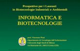 Prospettive per i Laureati  in Biotecnologie Industriali e Ambientali INFORMATICA E BIOTECNOLOGIE