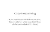 Cisco Networking