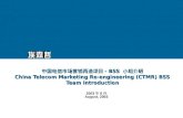 中国电信市场营销再造项目 -  BSS  小组介绍 China Telecom Marketing Re-engineering (CTMR) BSS Team Introduction