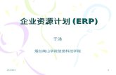 企业资源计划 (ERP)