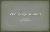 Viru-Nigula vald
