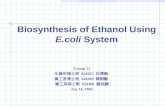 Biosynthesis  of Ethanol Using  E.coli  System