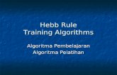 Hebb Rule Training Algorithms