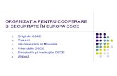 ORGANIZAŢIA PENTRU COOPERARE ŞI SECURITATE ÎN EUROPA OSCE