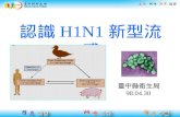 認識 H1N1 新型流感
