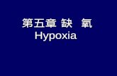 第五章 缺  氧 Hypoxia