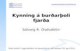 Kynning á burðarþoli fjarða Sólveig R. Ólafsdóttir
