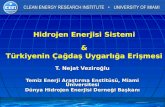 T. Nejat Veziroğlu Temiz Enerji Araştırma Enstitüsü, Miami Üniversitesi