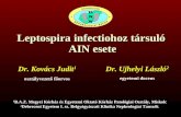 Leptospira i nfectiohoz társuló  AIN esete