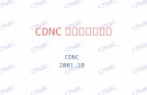 CDNC 介绍及现况报告