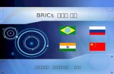 BRICs  마케팅 전략