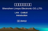 深圳领亚电子科技 Shenzhen Linoya Electronic CO.,LTD.