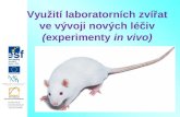 Využití laboratorních zvířat ve vývoji nových léčiv ( experimenty  in vivo)