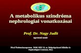 A metabolikus szindróma nephrologiai vonatkozásai