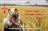 Year  Fourteenth  Sunday                                        in  Ordinary  Time  C