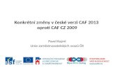 Konkrétní změny v české verzi CAF 2013  oproti CAF CZ 2009