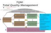 TQM:  Total Quality Management