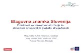 Mag. Edita Kuhelj Krajnović, Mediade Mag. Violeta Bulc, Vibacom, IPRK Polona Pibernik, Mediade